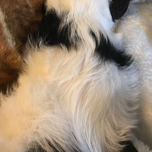 Meet your Posher, Joe