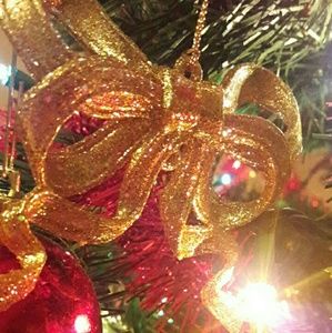 Meet your Posher, Kyra