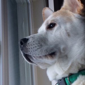 Meet your Posher, Selina