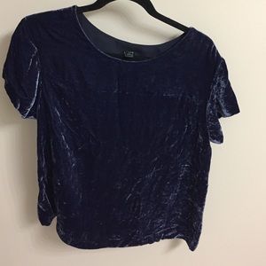Blue velvet JCrew Shirt!