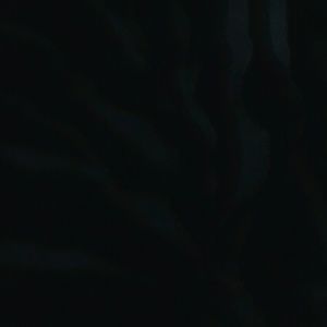 Meet your Posher, Shayla