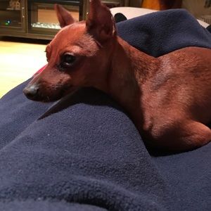 Meet your Posher, Lisamarie