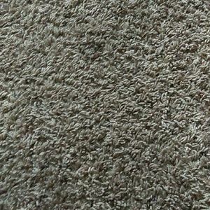 Meet your Posher, Tanya