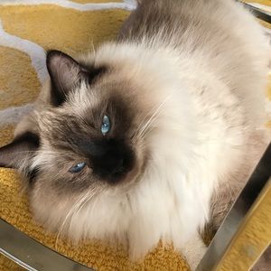 Meet your Posher, Stef