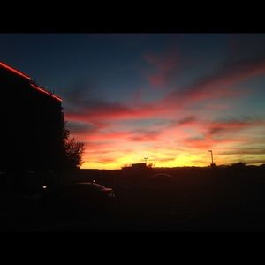 Meet your Posher, Misty