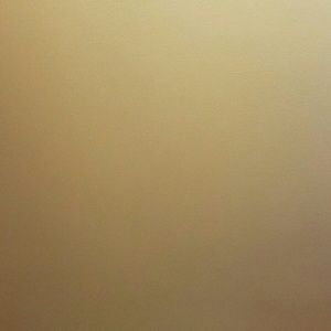 Meet your Posher, Yesica