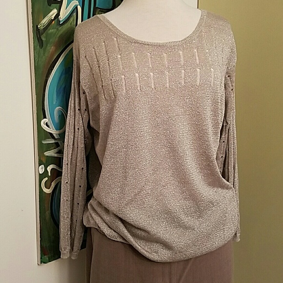 Shiny Sweater