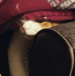 Meet your Posher, Laura