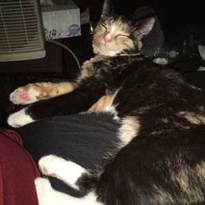 Meet your Posher, Cherize