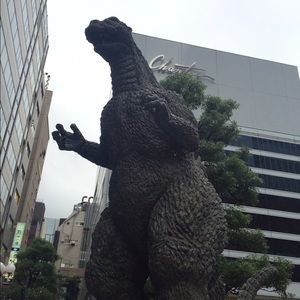 Meet your Posher, Carrie