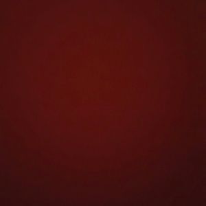 Meet your Posher, Noah