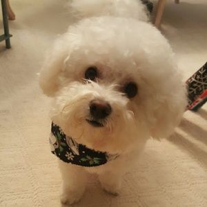 Meet your Posher, Vera