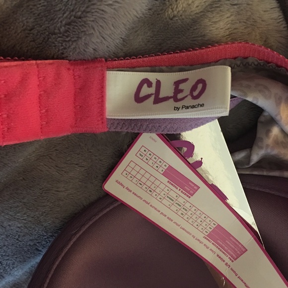 Panache Cleo 36FF Bra - Picture 2 of 4