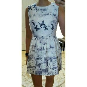 NWT Fitted Black & White Butterfly Jacquard Print dress Sz M