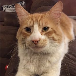 Meet your Posher, Matthew