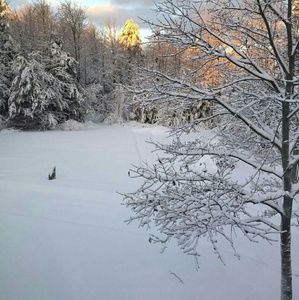 Meet your Posher, Raquel