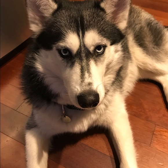 Meet your Posher, Lisa