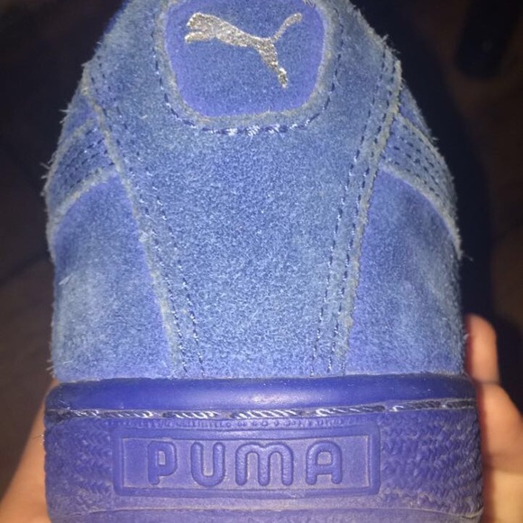 Blue pumas