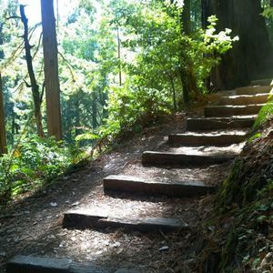 Meet your Posher, Claudia