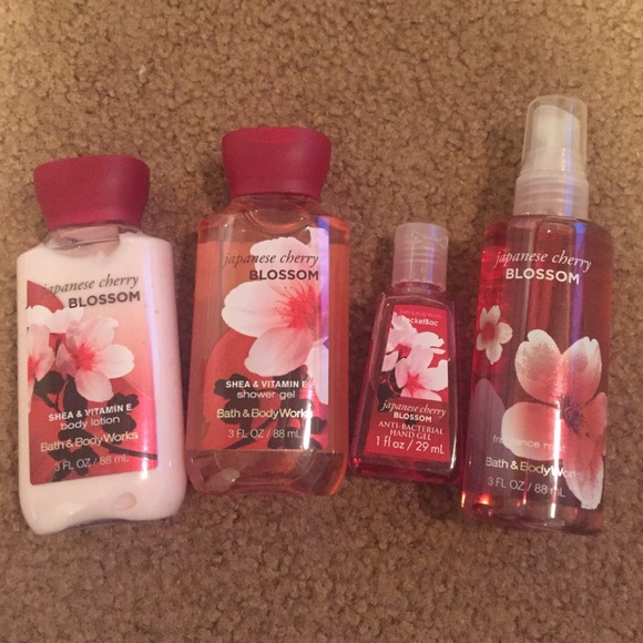 NWOT Bath & Body Works Travel Set!