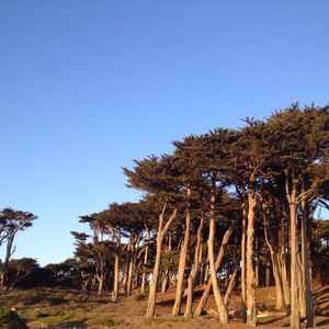 Meet your Posher, May