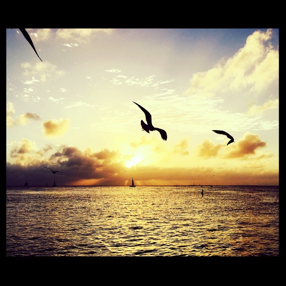 ❤️️ that's me ❤️️ - Picture 4 of 14