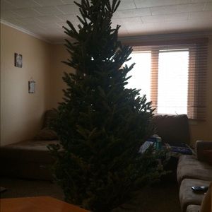 Meet your Posher, Kori