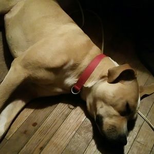 Meet your Posher, Melinda