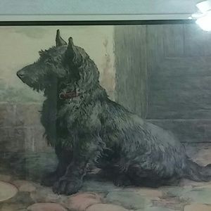 Meet your Posher, Angel