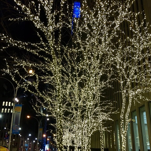 Meet your Posher, Shireen