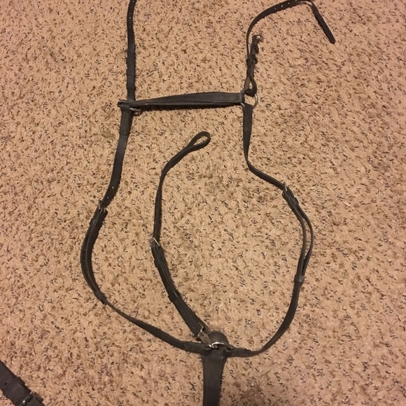 breast collar standing martingale attachment
