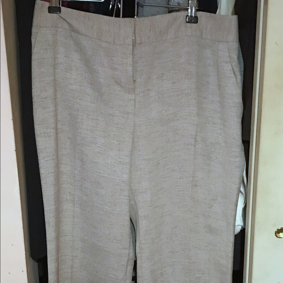 Limited Cassidy Fit beige linen like pants.