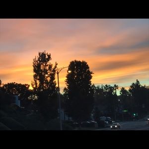 Meet your Posher, Alison