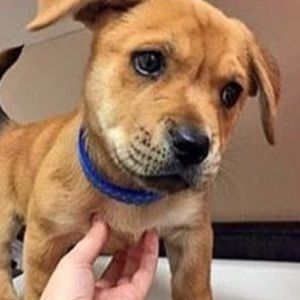 Meet your Posher, Kylie