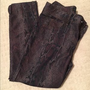 Women's Petite Snakeskin Print Pants