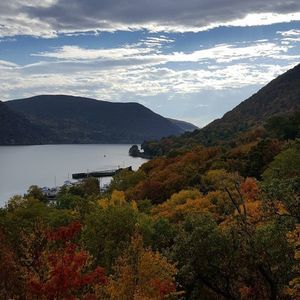 Meet your Posher, Shelley