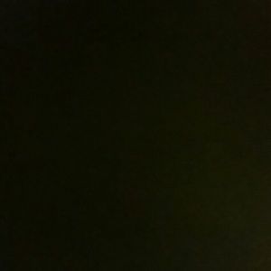 Meet your Posher, Bryan