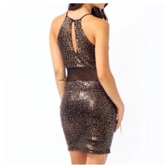 Mesh Inset Leopard Cheetah Dress - Picture 3 of 4