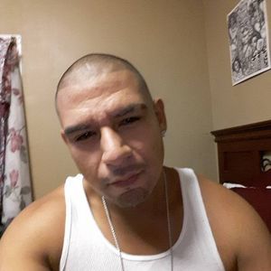 Meet your Posher, Gilbert