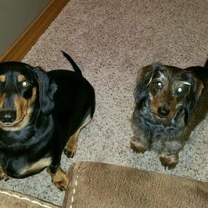 Meet your Posher, Jill