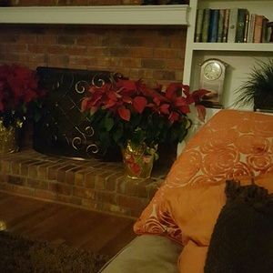 Meet your Posher, Ann