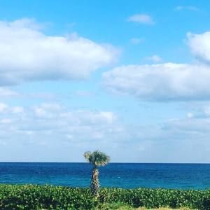 Meet your Posher, Martha