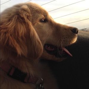 Meet your Posher, Kassandra