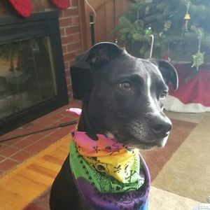 Meet your Posher, Christine