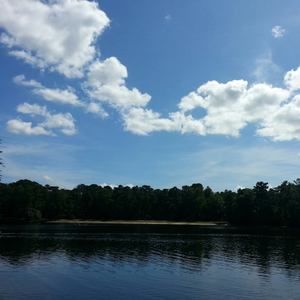 Meet your Posher, Ahmad