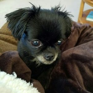 Meet your Posher, Phyllis