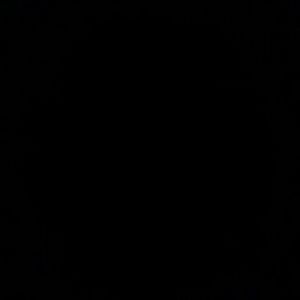 Meet your Posher, Elena