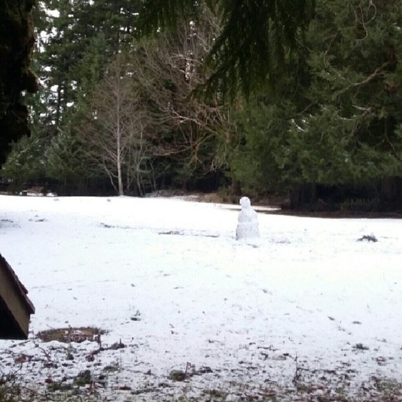 Shipping - Picture 1 of 1