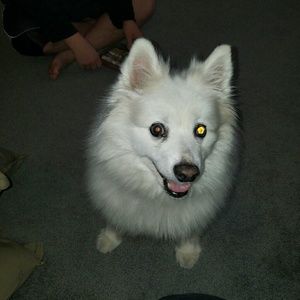 Meet your Posher, Shawna