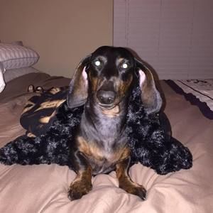 Meet your Posher, Jackie